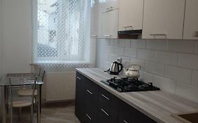 Apartment In Serbska Lviv